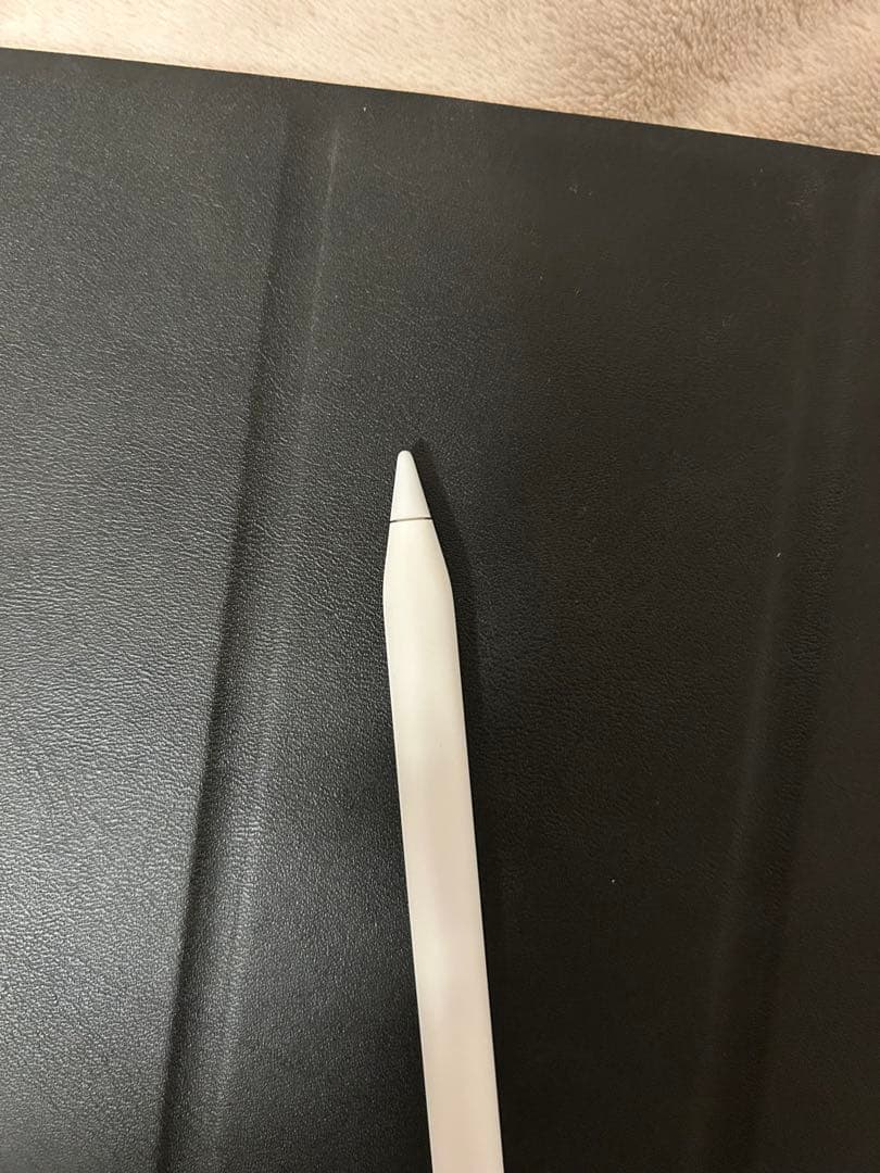 Apple Pencil USB-C （純正、使用10分ほど）