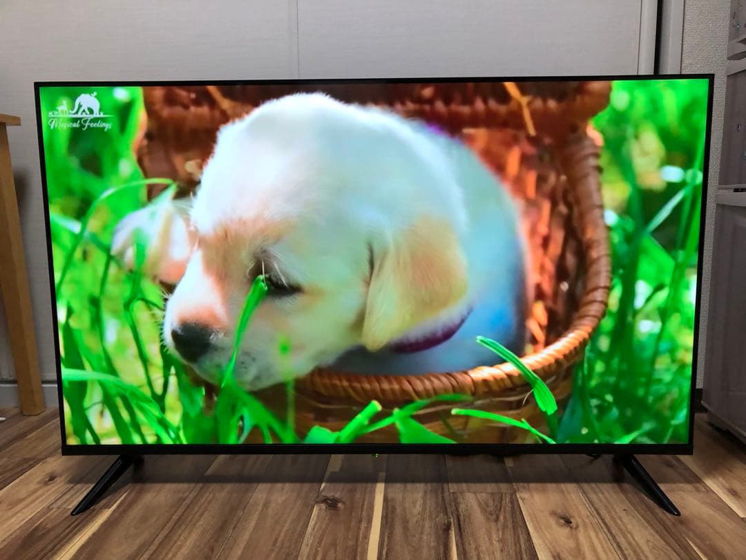 2022年製！50V型 4Kチューナーレステレビ Android TV HDR○