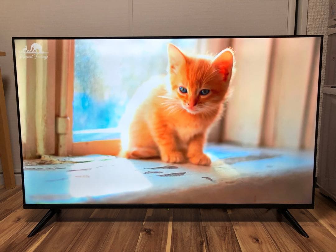 2022年製！50V型 4Kチューナーレステレビ Android TV HDR○