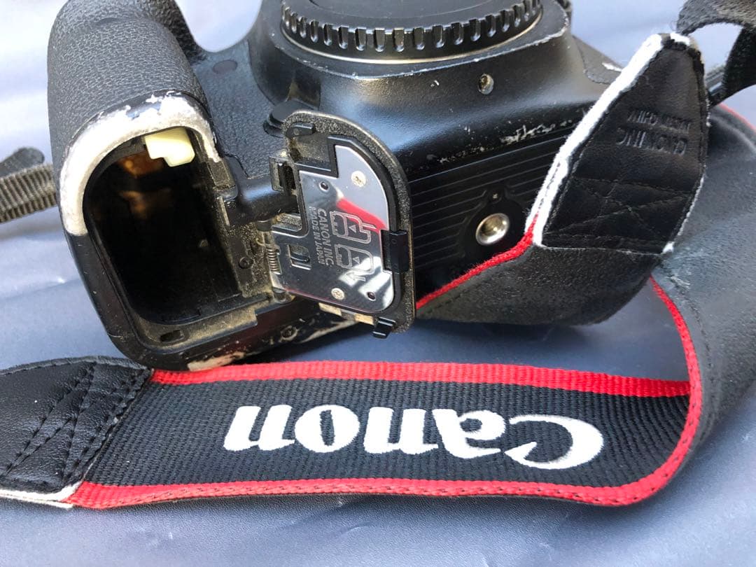 キヤノンEOS 5D Mark 3(D34)