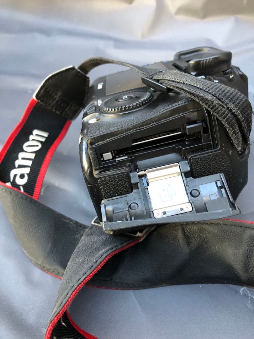 キヤノンEOS 5D Mark 3(D34)