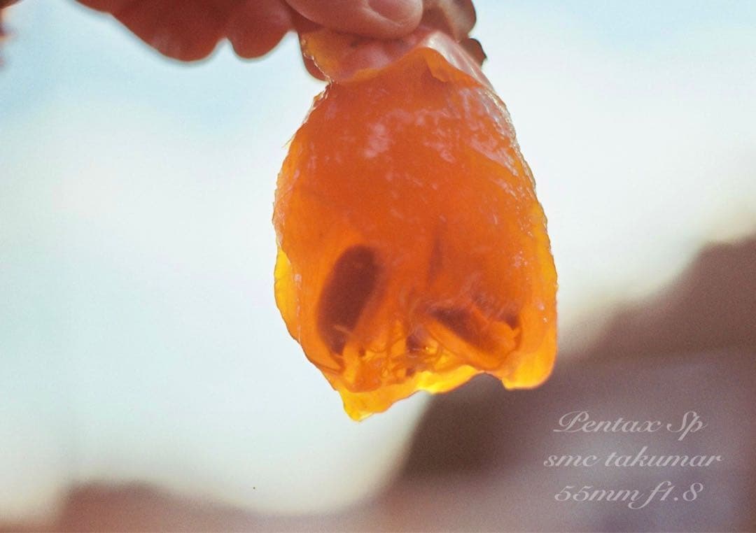 入門に！★PENTAX SP★レンズセット★完動品＊初期保証＊リザード本革外装