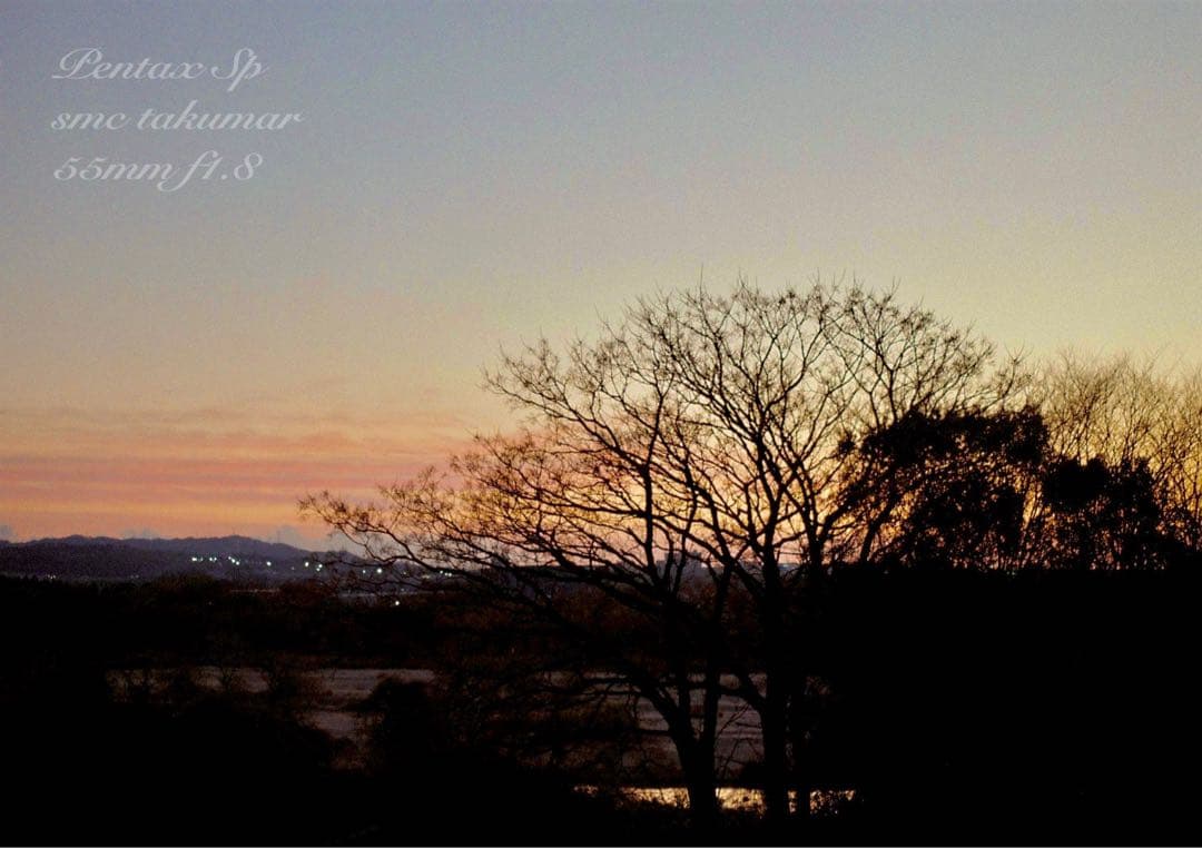 入門に！★PENTAX SP★レンズセット★完動品＊初期保証＊リザード本革外装