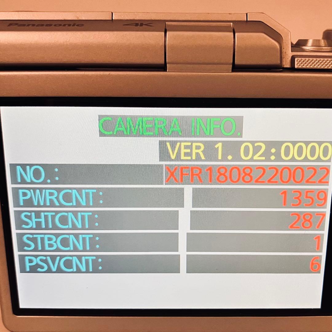 Wi-Fi対応 Panasonic DC-GF10 ダブルレンズキット
