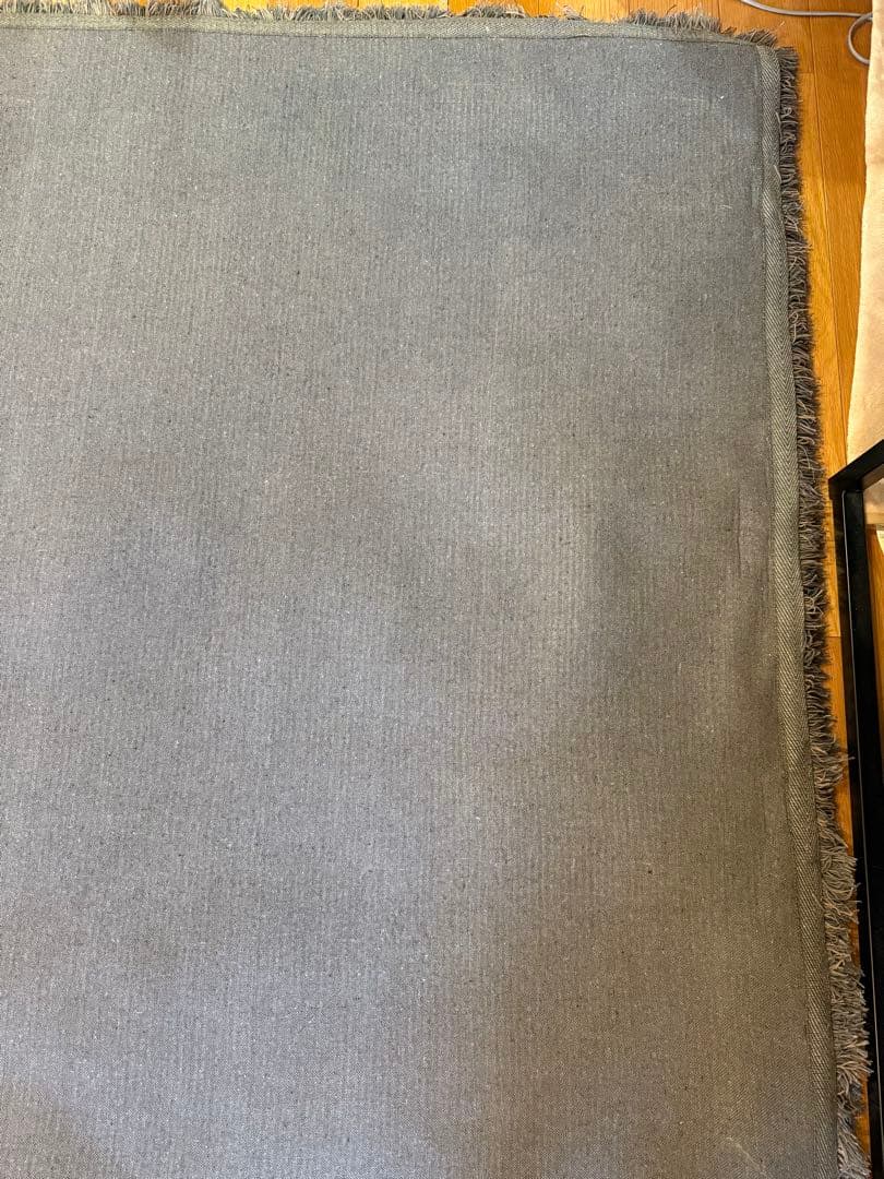 ACTUS アクタス ラグ 1700 × 2400