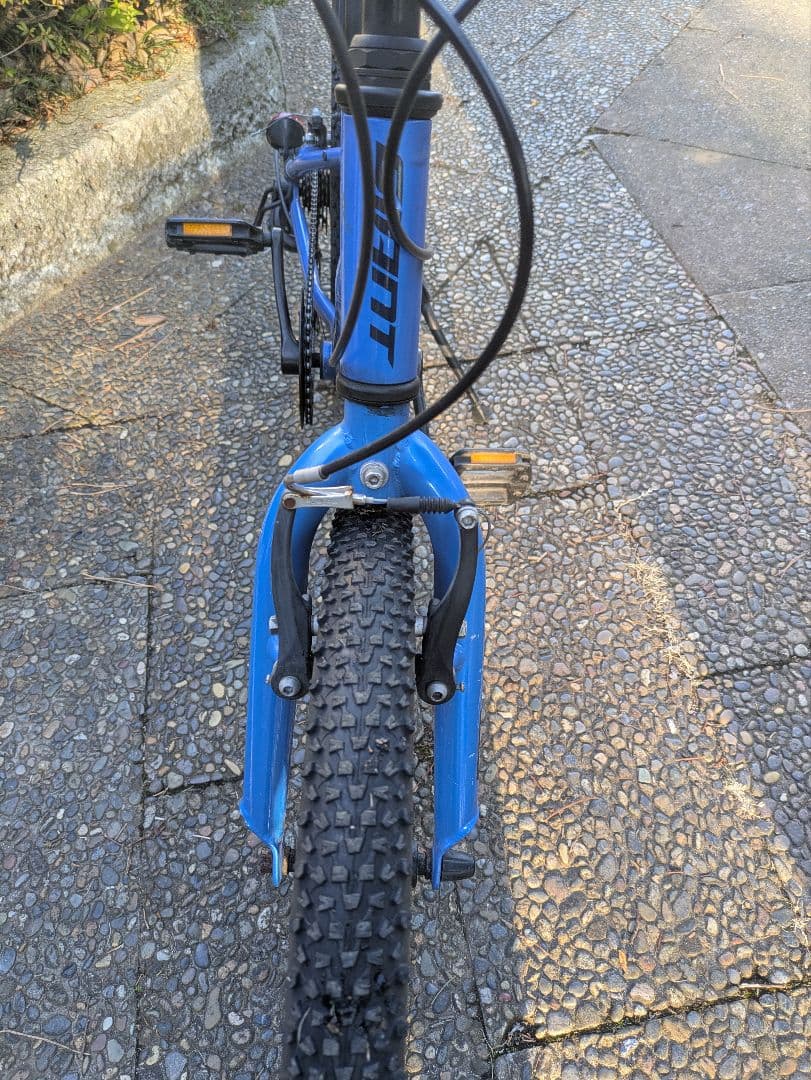 自転車 20インチ キッズバイク ジャイアント