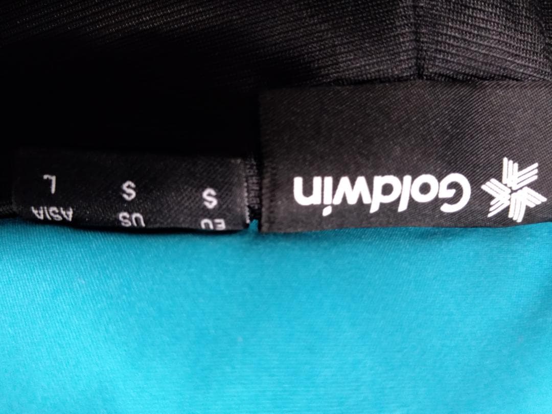 Goldwin スキーパンツ