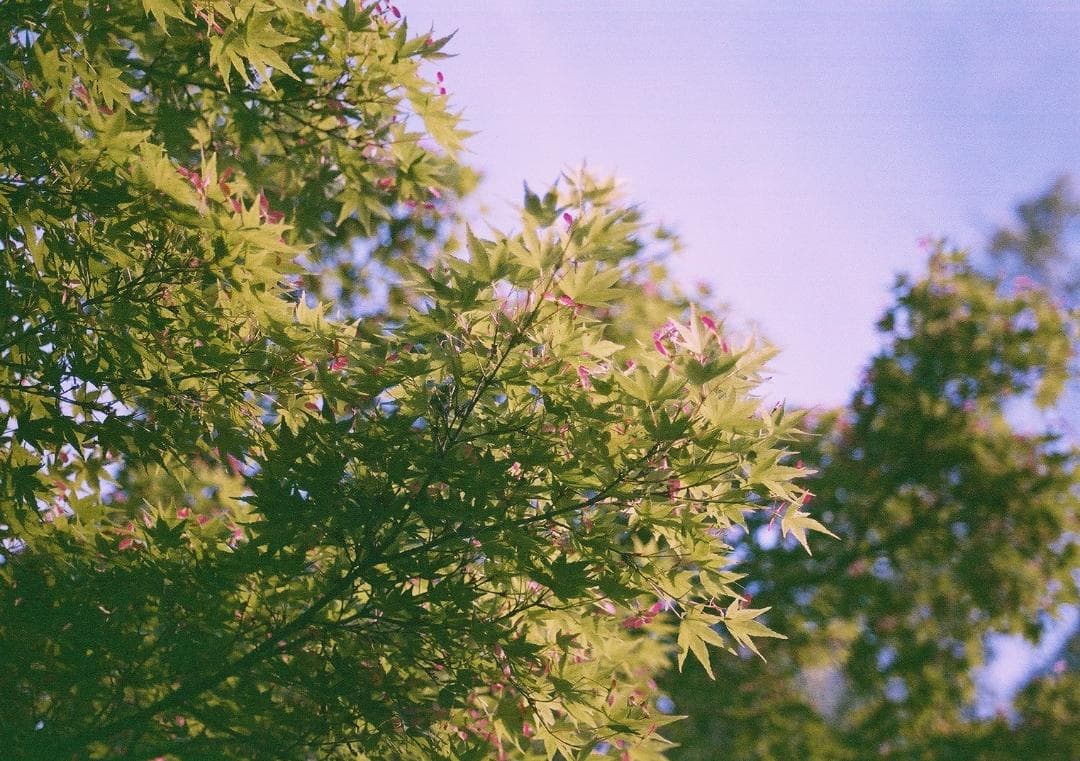 Canon EOS-1＋EF 28-80mm F2.8-4 L オートフォーカス