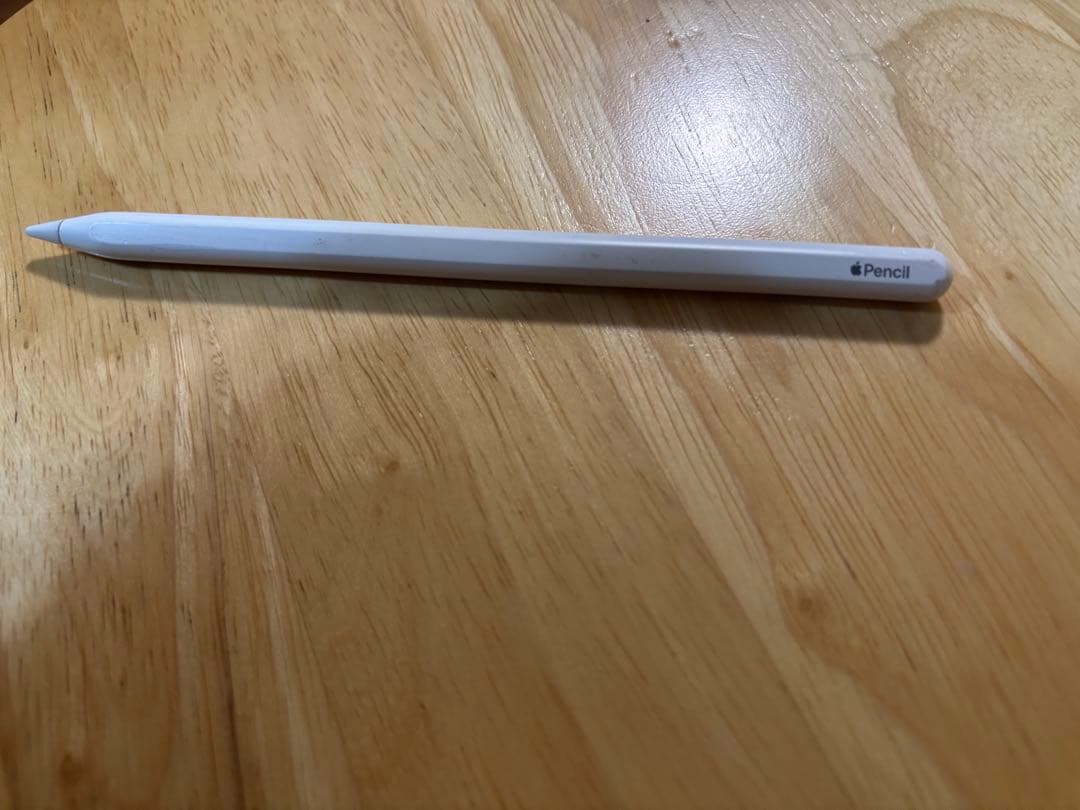 ひ*読様 Apple iPad mini (第6世代) スペースグレー 256G