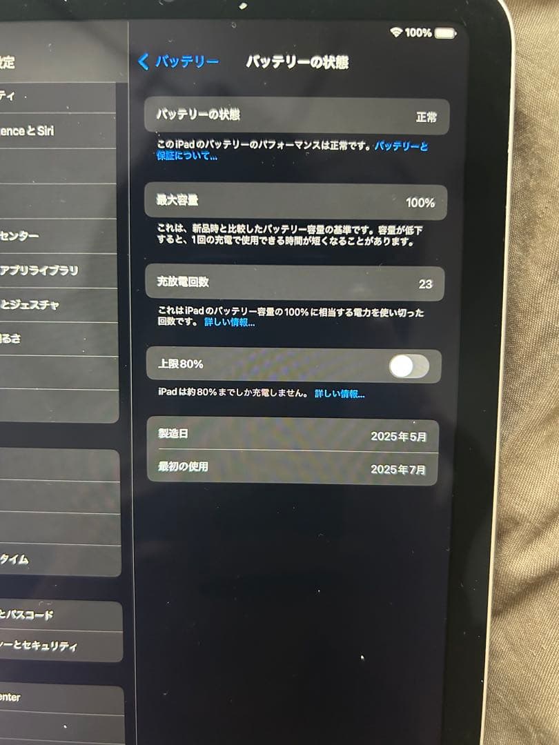 iPad本体 ipad mini