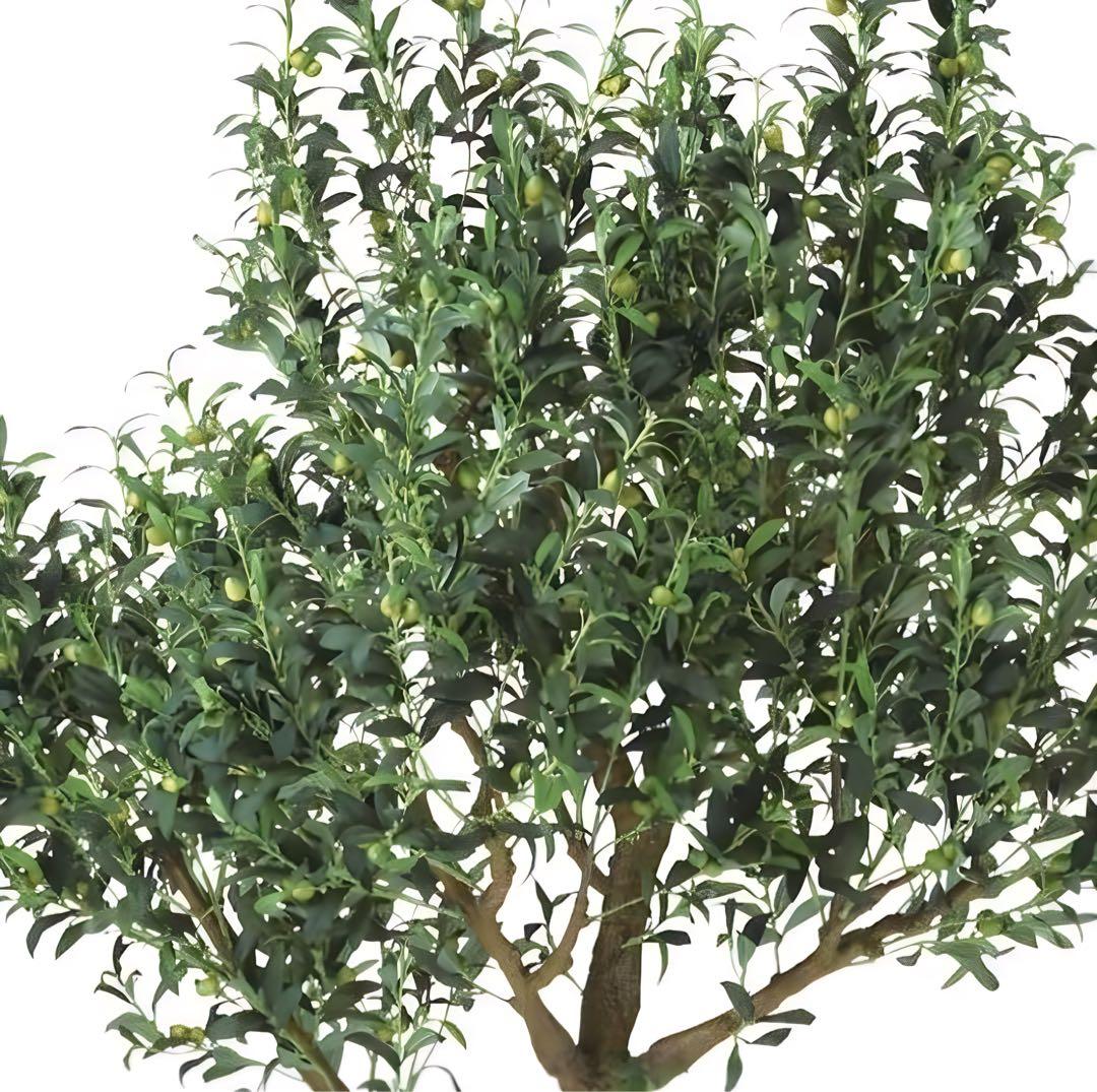 光触媒　人工観葉植物　ウォールグリーン　フェイクグリーン　ライプオリーブ220