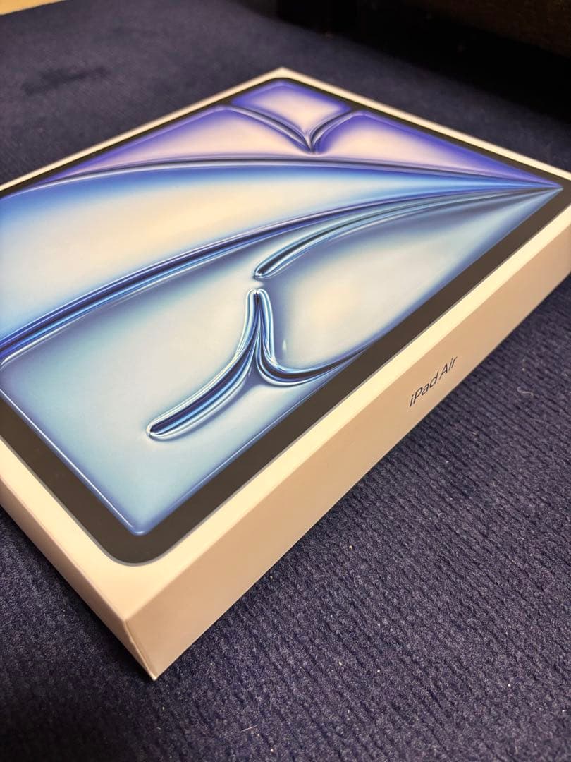 iPad Air (M2) 256GB Wi-Fi 13インチ 中古 ケース付き