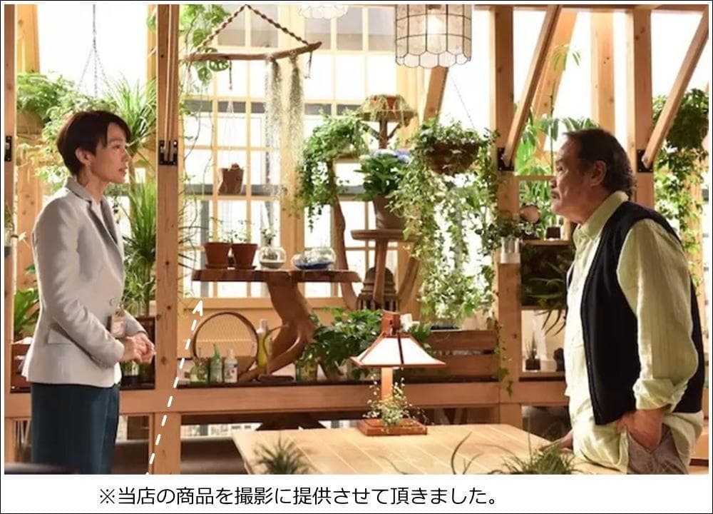 在庫処分 １点もの 木製 テーブル チーク材 天然木 一枚板 切り株 根 B-2