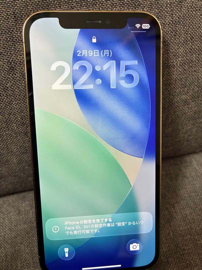 iPhone12 Pro【背面ひび割れ有り】