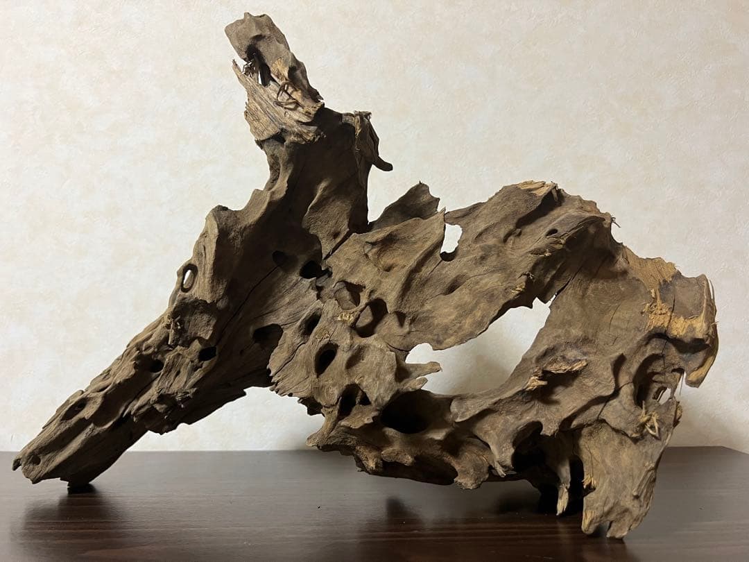 XM-198 流木　マシンガンウッド　アクアリウム　ブランチウッド　沈水確認済