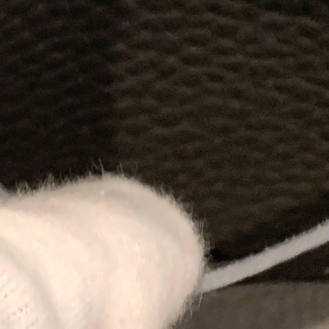 極美品✨イアクッチ ラーナ Sサイズ 2way ショルダーバッグ 現行品