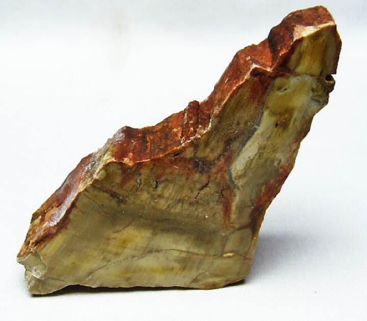 ★特選オンリー１品石★木の化石☆【ペトリファイドウッド珪化木✴︎原石】♡