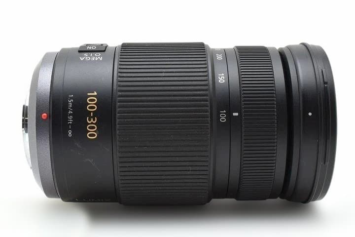 15465 Lumix 100-300mm Panasonic 手振れ補正 望遠