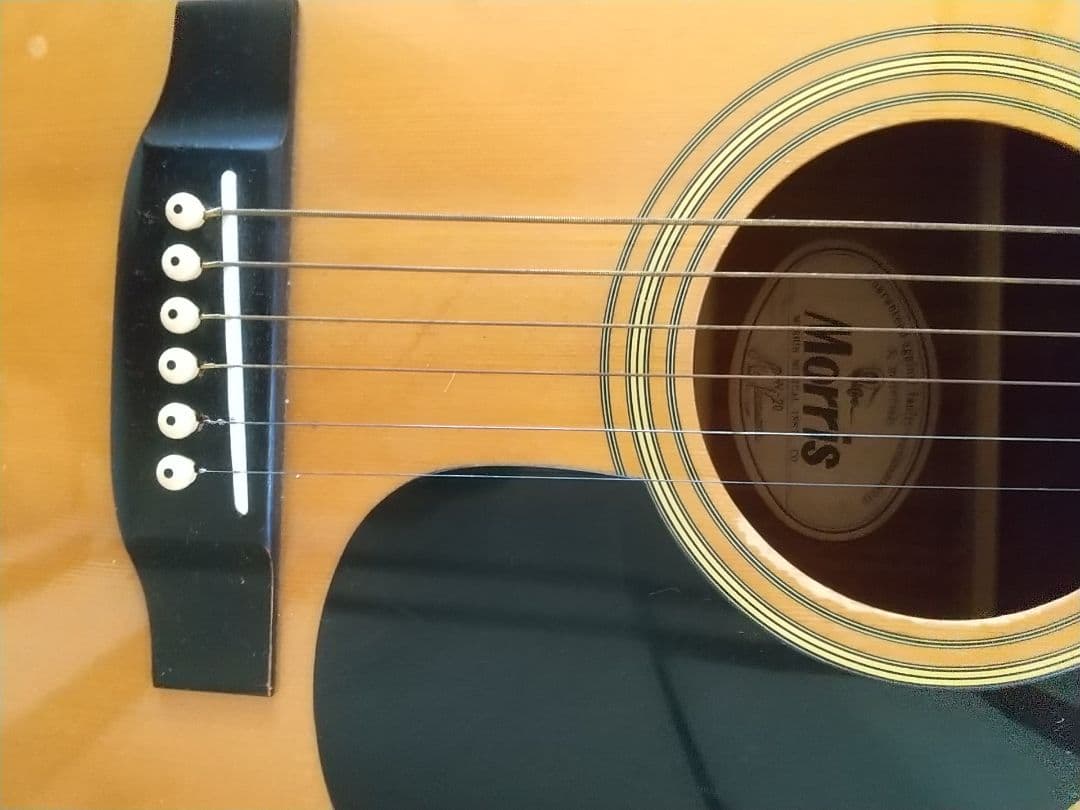 MORRIS モーリス アコースティック フォーク ギター W-20 おまけ 弦