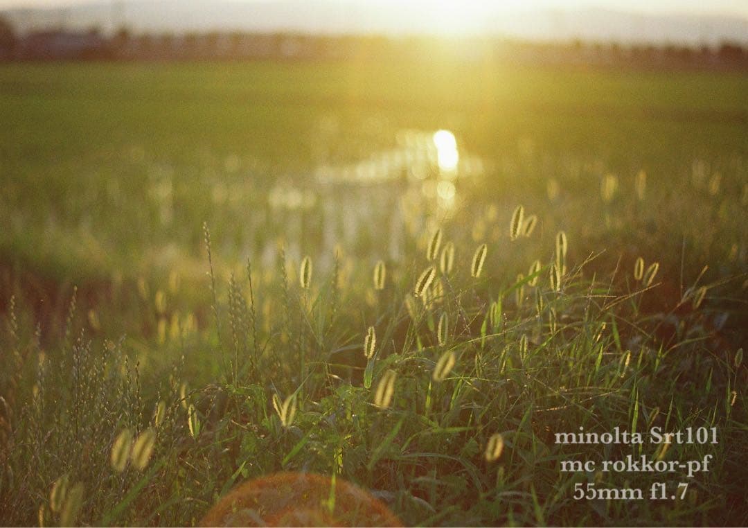 minolta srt101 ★美品＊完動品＊初期保証★緑のロッコール★作例多数