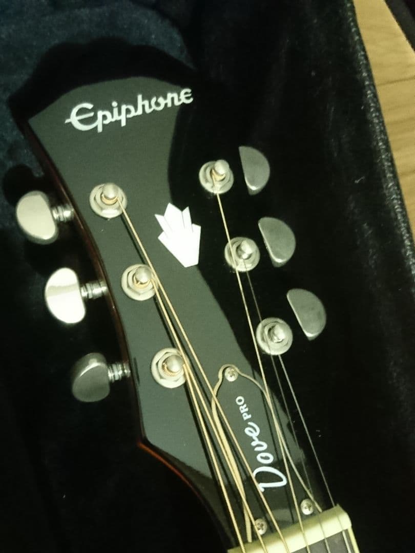 とにかくキレイ❗Epiphone Dove Pro アコースティックギター