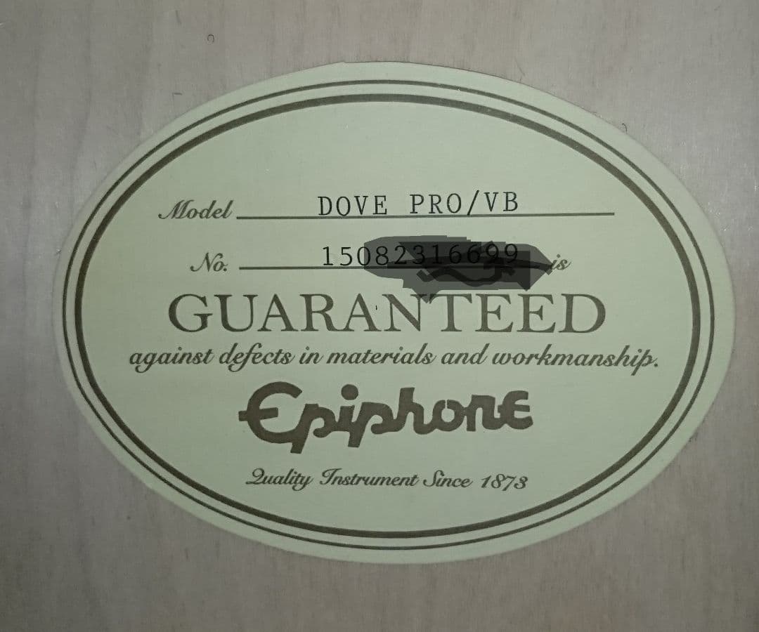 とにかくキレイ❗Epiphone Dove Pro アコースティックギター