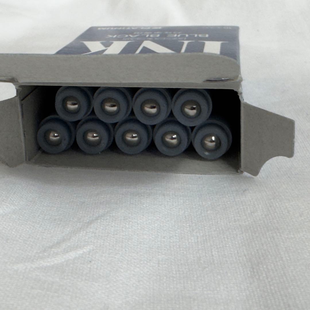 レザーケース・インク付き プラチナ Ptペン先 万年筆 シルバー silver