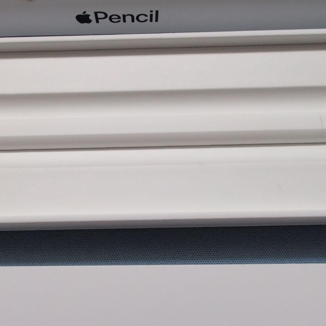 Apple Pencil USB-C アップルペンシル USBC 鉛筆