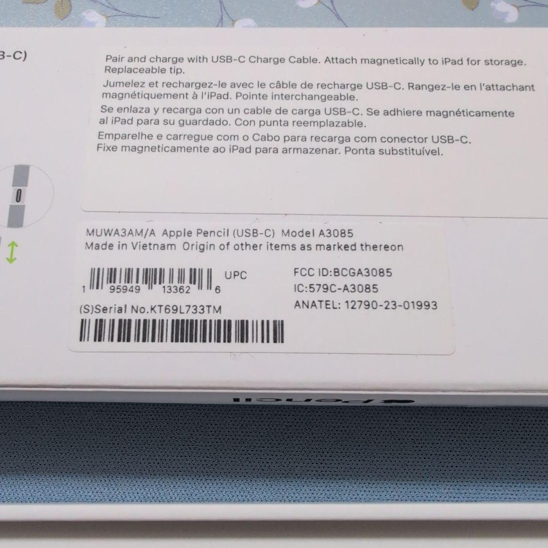Apple Pencil USB-C アップルペンシル USBC 鉛筆