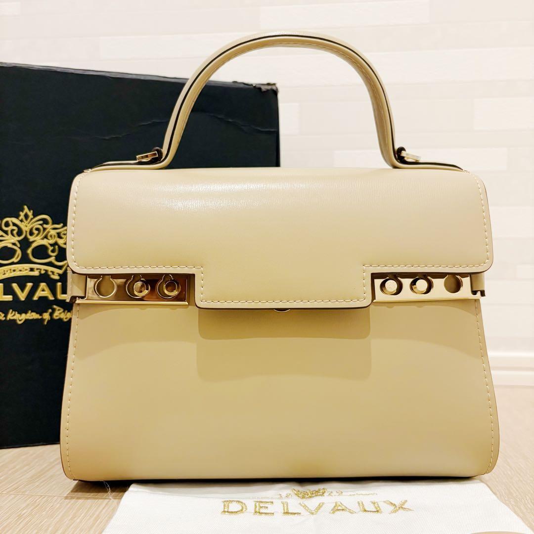 早い者勝【新品未使用】デルヴォー　タンペート　PM ショルダー　ハンドバッグ