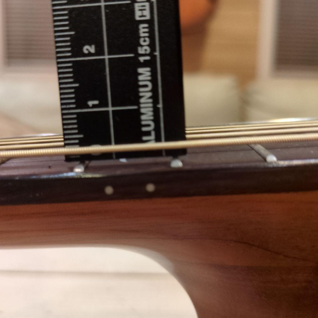 美麗!! 　DCT　GR-747 KCE （エレアコ）純正ギグバック付き