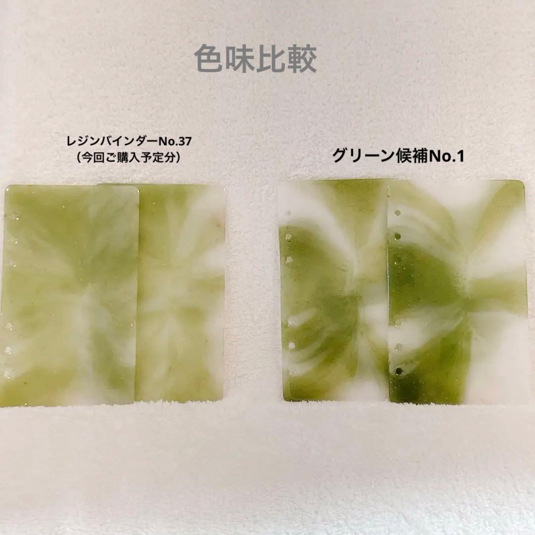 【ゆう】レジンバインダーNo.37 グリーン×ホワイト