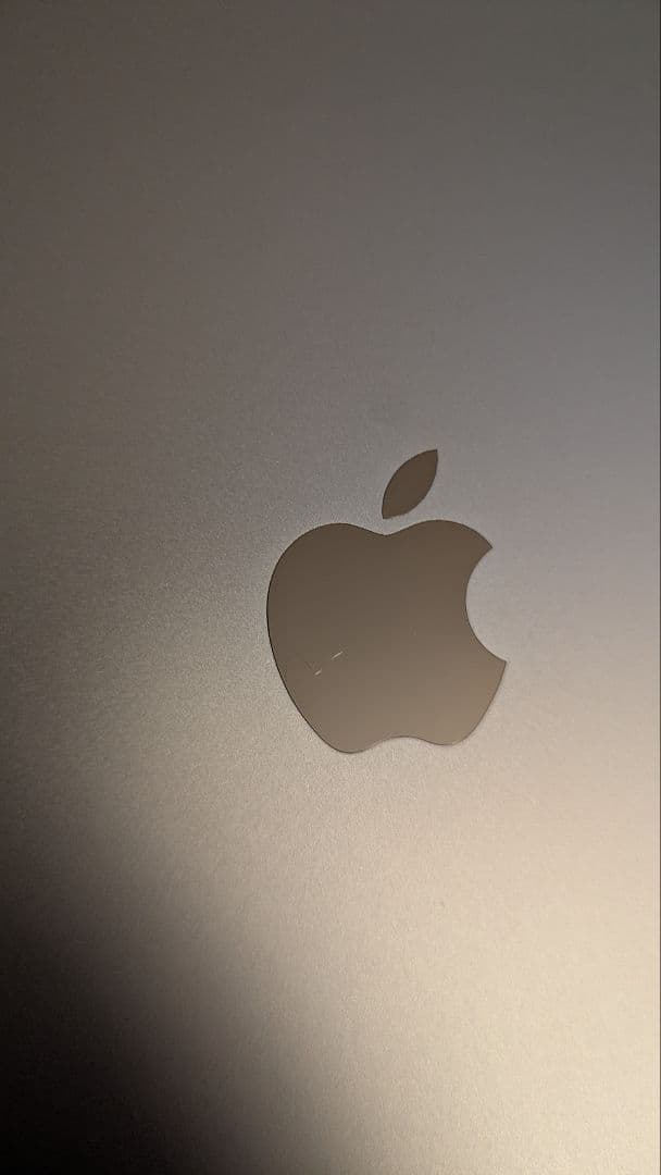 iPad 第9世代 64GB シルバー Wi-Fi+Cellularモデル