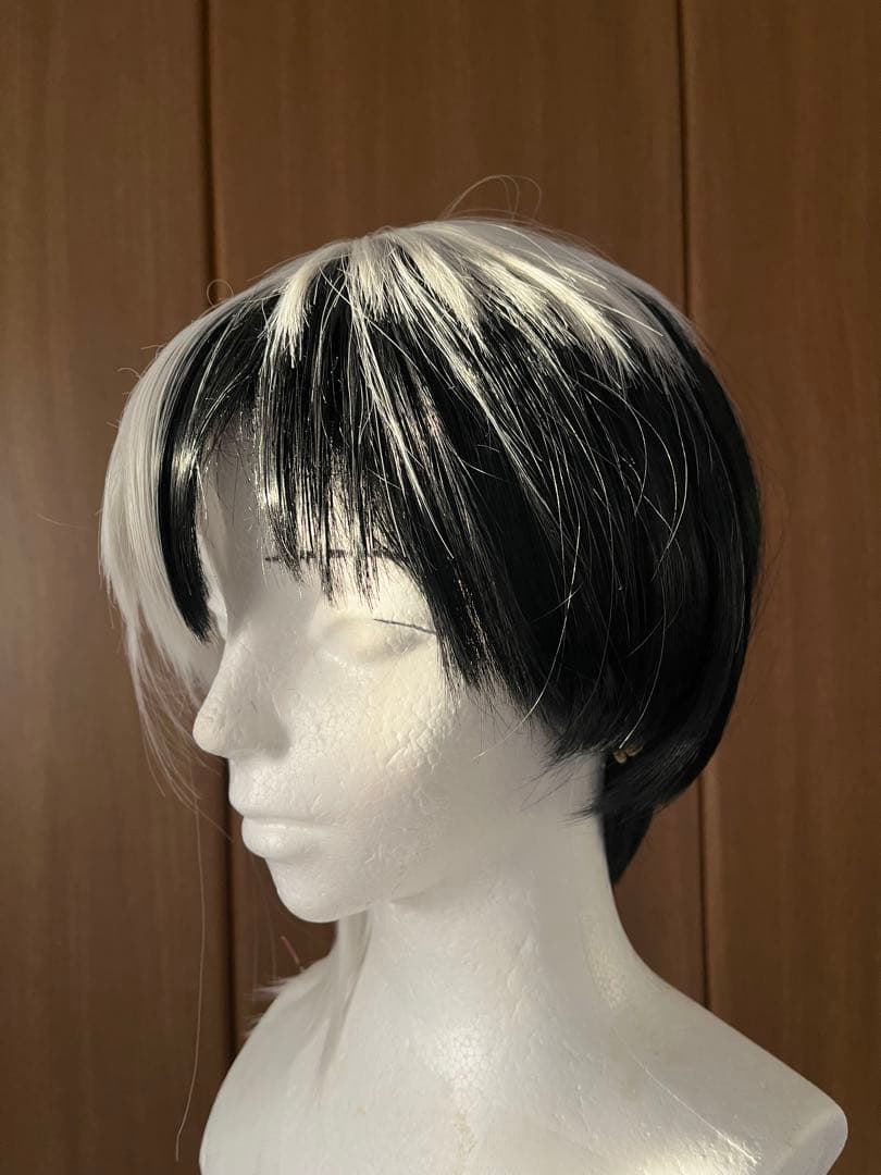 dcst あさぎりゲン(ウィッグ＋衣装L)