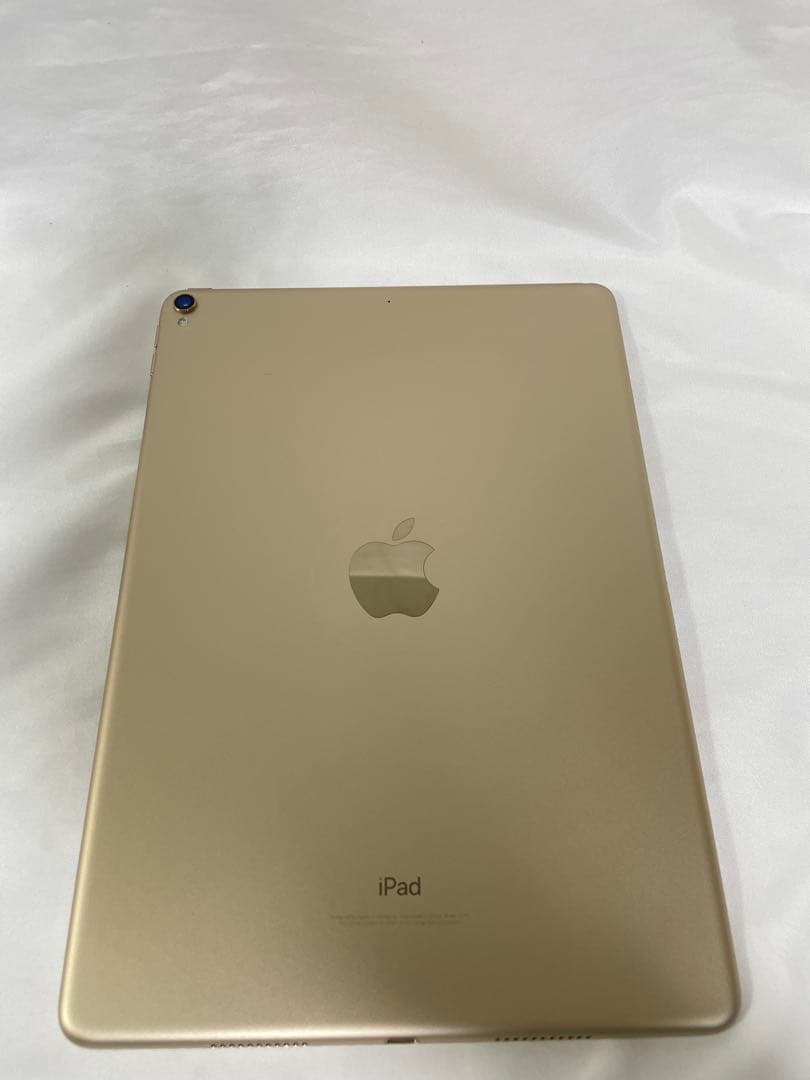 iPad Pro アイパッドプロ　A1701 256GB 85%