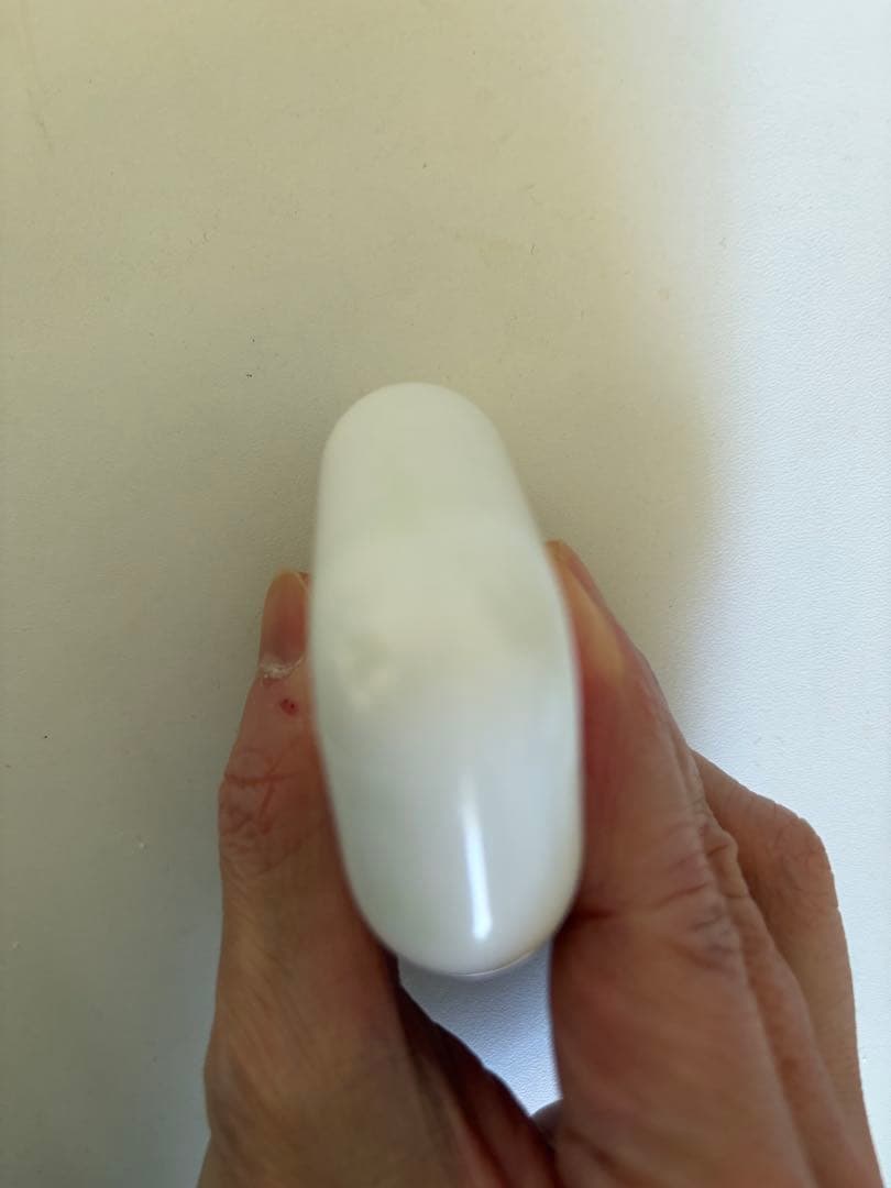 AirPods Pro 2本体 充電ケース付き ライトニング