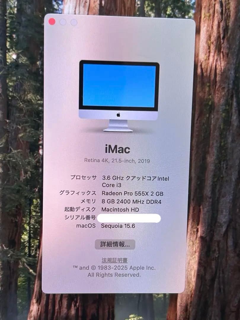 Apple iMac シルバー + ワイヤレスキーボード+トラックパッド