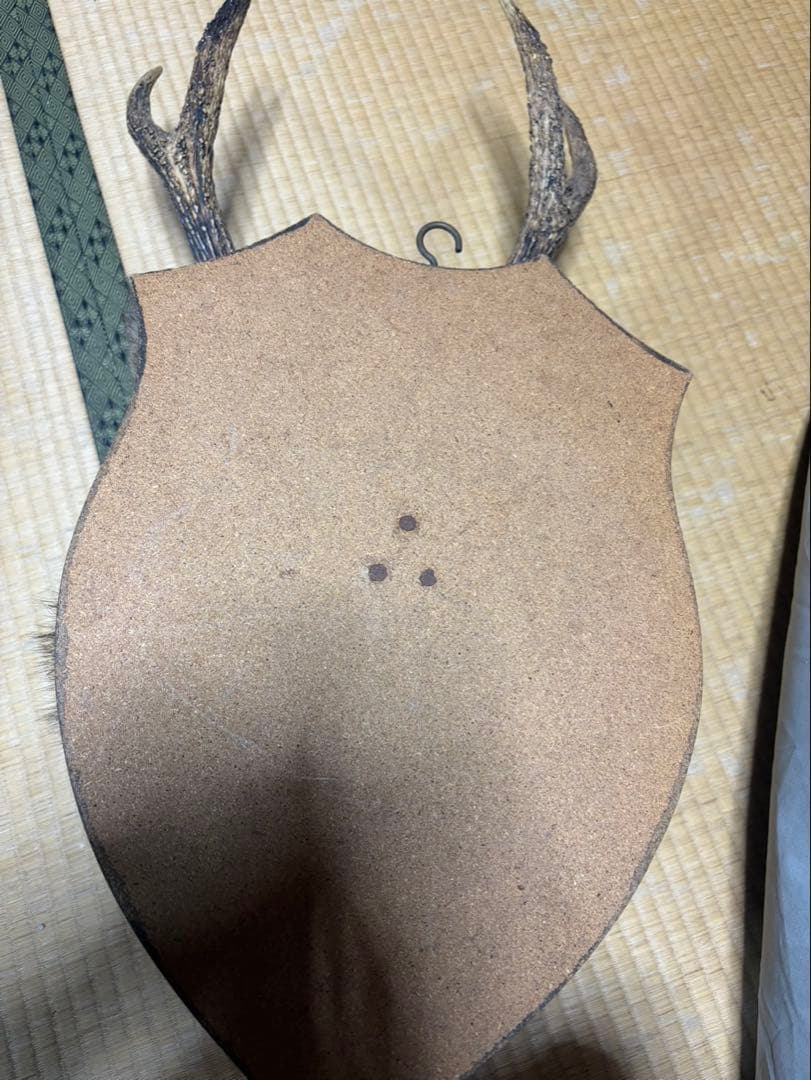 シカの頭部 壁掛け装飾
