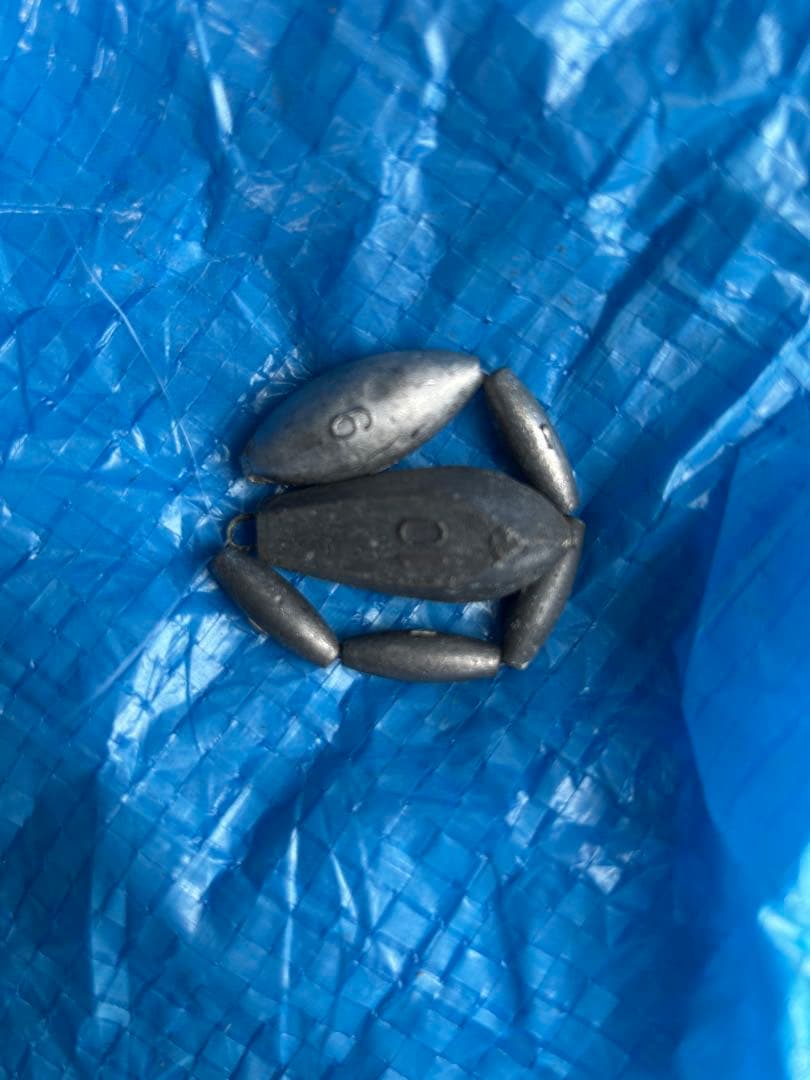 Fuji 伊勢海老オーダーメイドロッド