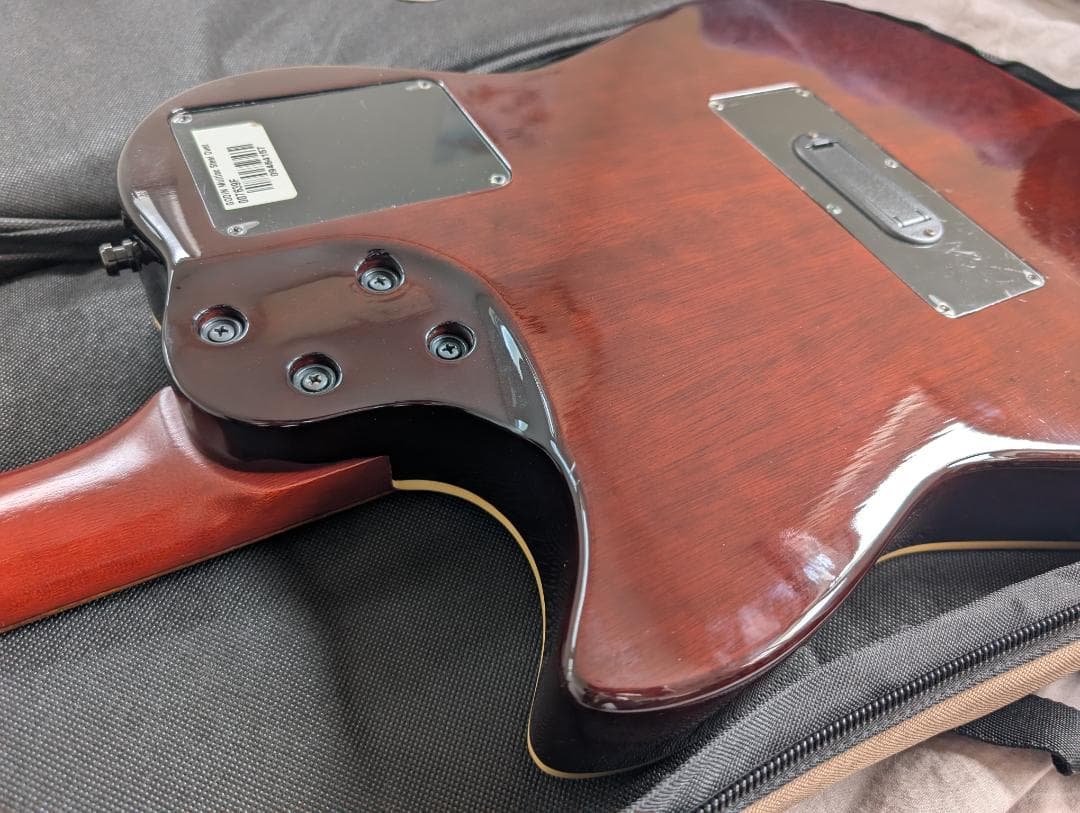 Godin Multiac Steel Duet ゴダン スチール デュエット