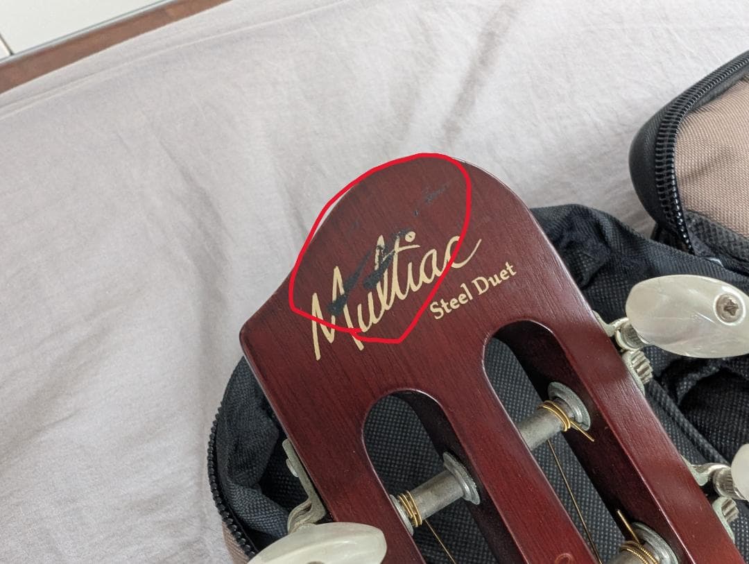 Godin Multiac Steel Duet ゴダン スチール デュエット