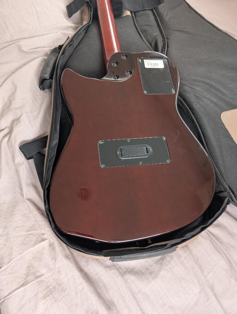 Godin Multiac Steel Duet ゴダン スチール デュエット