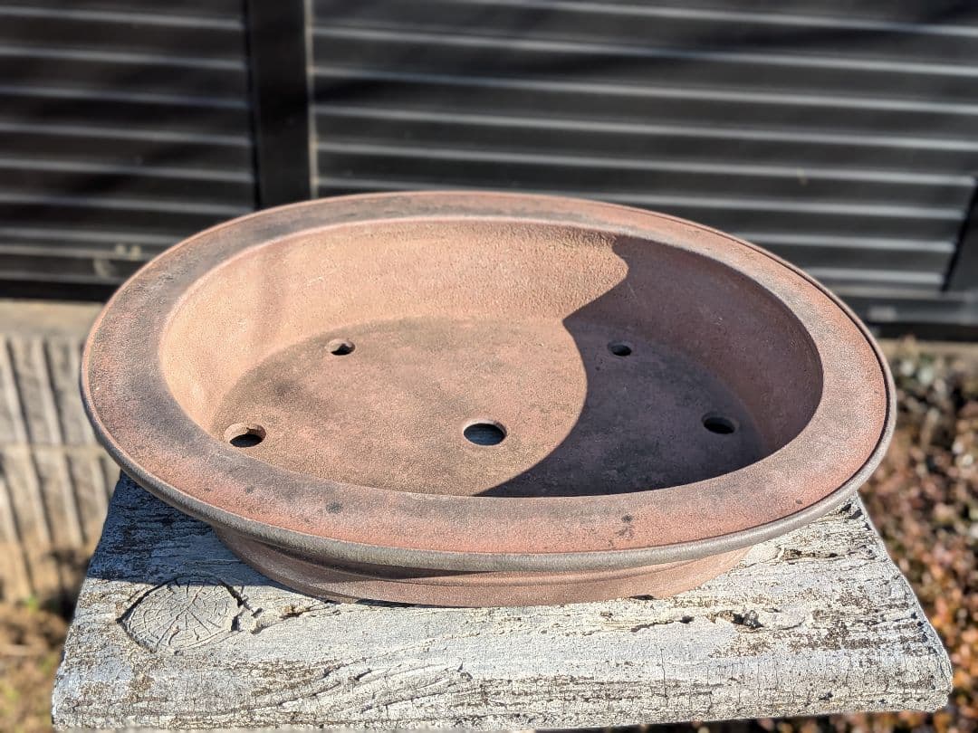 盆栽鉢 喜仙造　外縁胴紐楕円形