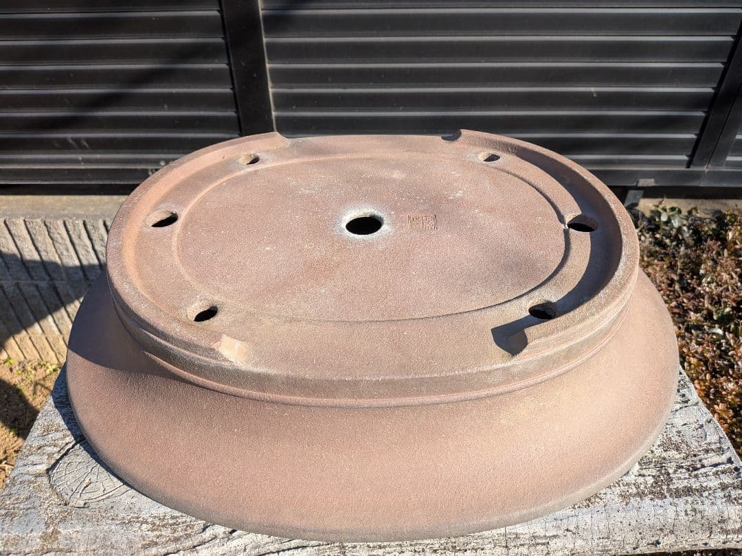 盆栽鉢 喜仙造　外縁胴紐楕円形