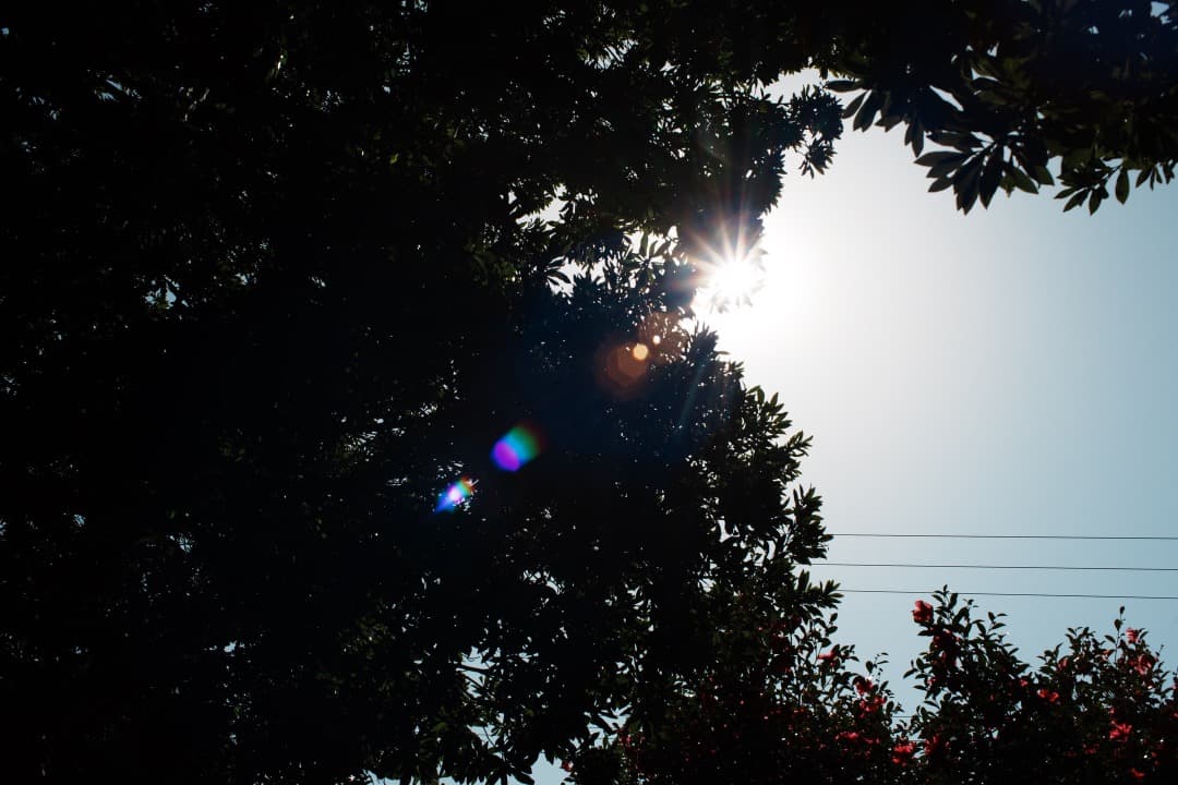 【極美品】動作◎ ニコン Nikkor-o Auto 35mm F2 839