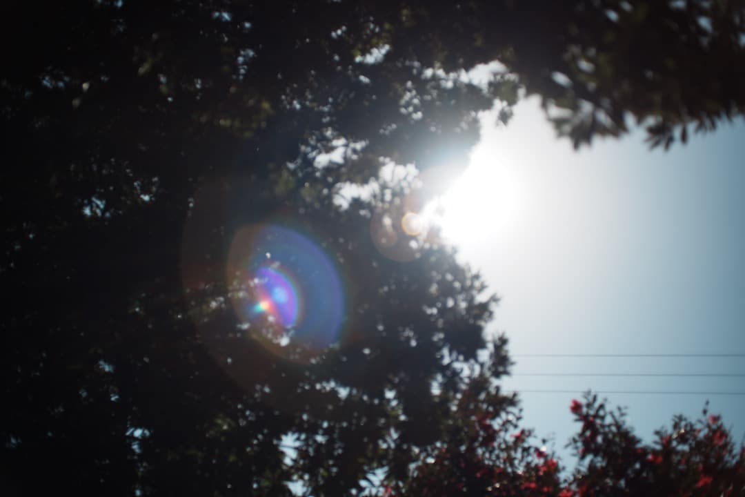 【極美品】動作◎ ニコン Nikkor-o Auto 35mm F2 839