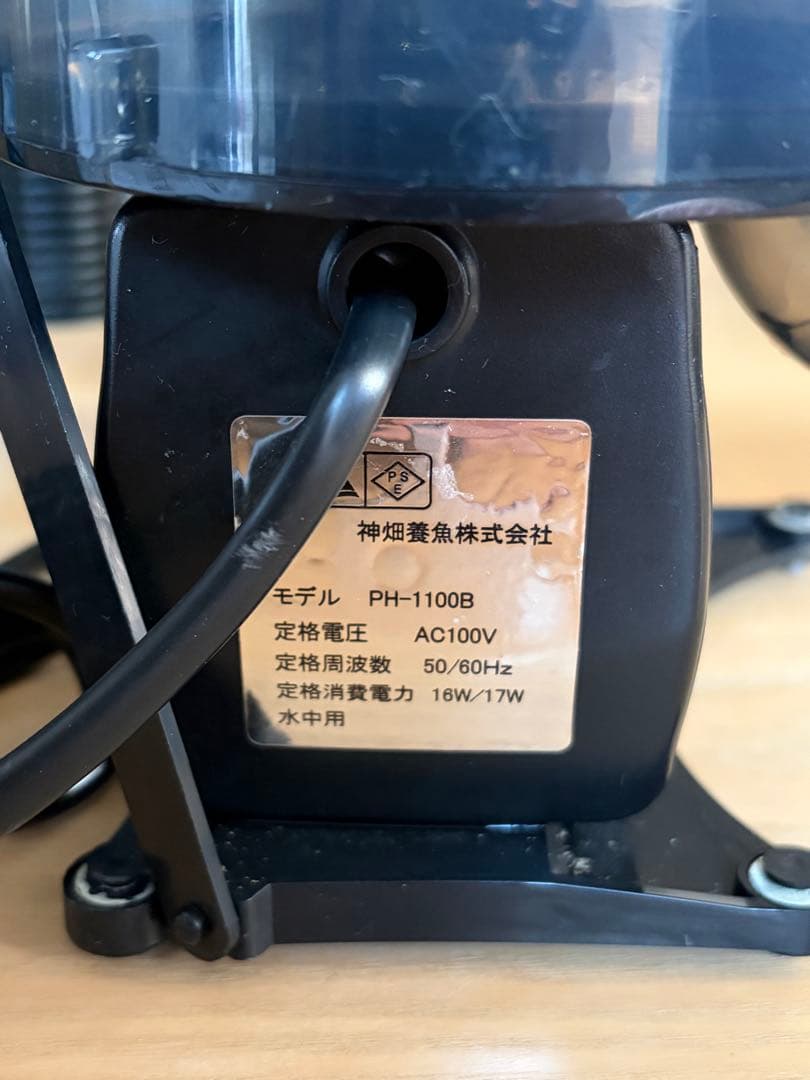 カミハタ　海道達磨　値下げ交渉⭕️