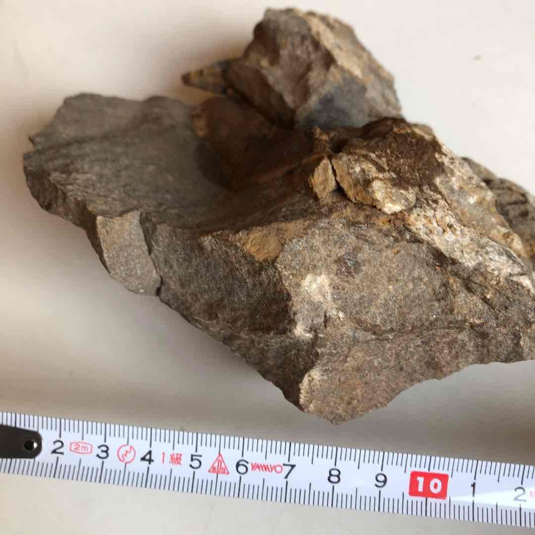 超貴重品　モロッコ砂漠で採取　現在輸出禁止です。