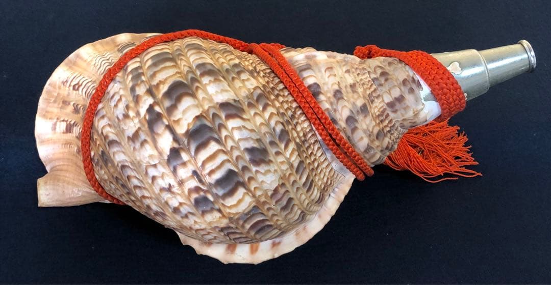 《レ》約41㎝ 修験道法螺貝 紐付 山伏 ほら貝 貝笛 251118え3
