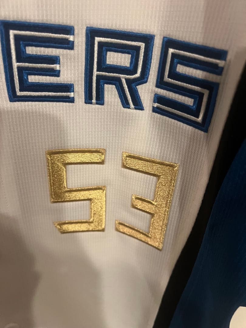 水谷瞬　ユニフォーム　サイン入り　プロコレ風